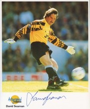 DAVID SEAMAN (ARSENAL & ENGLAND)