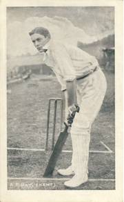 ARTHUR PERCIVAL DAY (KENT) C1905 CRICKET POSTCARD