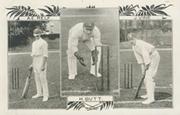 A.E. RELF, H. BUTT AND J. VINE CRICKET POSTCARD - SUSSEX CRICKETERS