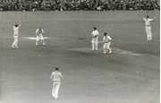 ENGLAND V AUSTRALIA 1953 (EDRICH CAUGHT AT 1ST SLIP) CRICKET PHOTOGRAPH