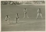 BILL PONSFORD (AUSTRALIA) 1934 BATTING AT THE OVAL CRICKET PHOTOGRAPH