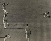 ENGLAND V AUSTRALIA 1953 (OVAL) CRICKET PHOTOGRAPH - COMPTON CAUGHT BY LANGLEY