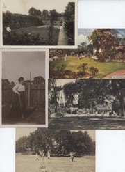 CROQUET POSTCARDS C1910-20 (8 IN TOTAL)