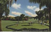 CLEARWATER GOLF AND COUNTRY CLUB (FLORIDA) GOLF POSTCARD