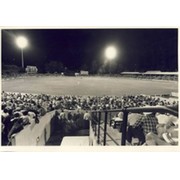 AUSTRALIA V NATAL (DURBAN) 1985 CRICKET PHOTOGRAPH
