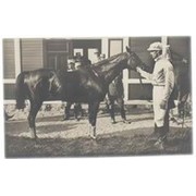 STOCKHOLM OLYMPICS 1912 ("GOLDEN HORSE") POSTCARD