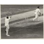 ENGLAND V AUSTRALIA 1964 (5TH TEST) CRICKET PHOTOGRAPH - TRUEMAN