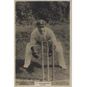 HERBERT STRUDWICK (SURREY) LARGE "PINNACE" CARD