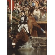 PRINCESS ANNE FALLING INTO WATER 1982 (BADMINTON HORSE TRIALS) PHOTOGRAPH