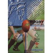 IRELAND V WALES 1995 (WORLD CUP) RUGBY UNION PROGRAMME 