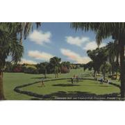 CLEARWATER GOLF AND COUNTRY CLUB (FLORIDA) GOLF POSTCARD