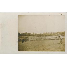 RURAL CRICKET POSTCARD