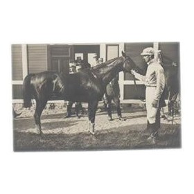 STOCKHOLM OLYMPICS 1912 ("GOLDEN HORSE") POSTCARD