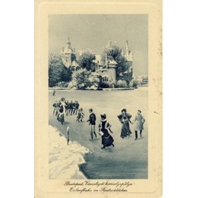 BUDSPEST, VAROSLIGETI KORCSOLAPALYA - EISLAUFBAHN IM STADTWALDCHEN (HUNGARY) postcard