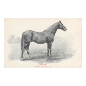 BEND OR - DERBY WINNER 1880