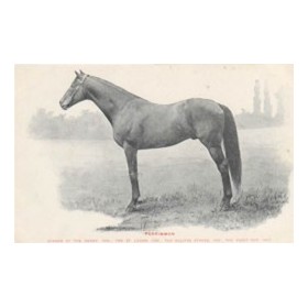 PERSIMMON - DERBY WINNER 1896