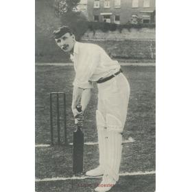 ALBERT ERNEST KNIGHT (LEICESTERSHIRE & ENGLAND) CRICKET POSTCARD