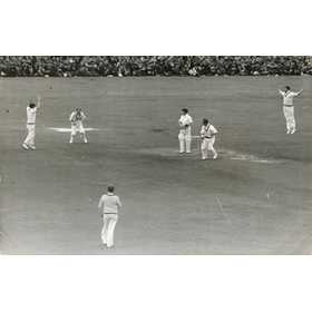 ENGLAND V AUSTRALIA 1953 (EDRICH CAUGHT AT 1ST SLIP) CRICKET PHOTOGRAPH