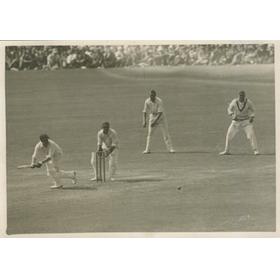 BILL PONSFORD (AUSTRALIA) 1934 BATTING AT THE OVAL CRICKET PHOTOGRAPH