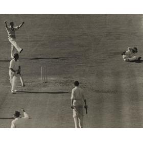 ENGLAND V AUSTRALIA 1953 (OVAL) CRICKET PHOTOGRAPH - COMPTON CAUGHT BY LANGLEY