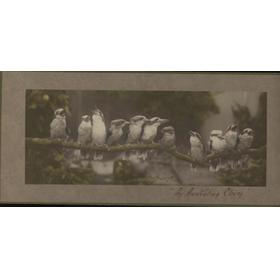 AN AUSTRALIAN ELEVEN