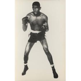ERNIE TERRELL BOXING PHOTOGRAPH
