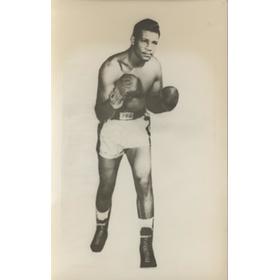 ALONZO JOHNSON BOXING PHOTOGRAPH