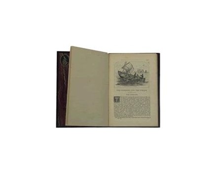 THE HERRING AND THE WHALE