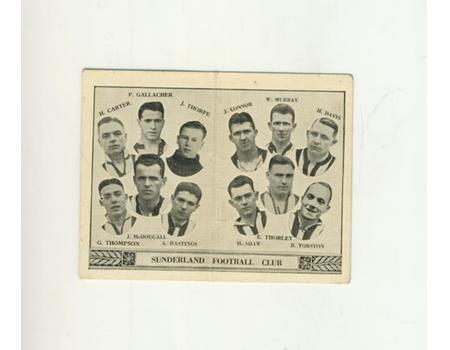 SUNDERLAND BARRATT TEAM FOLDER