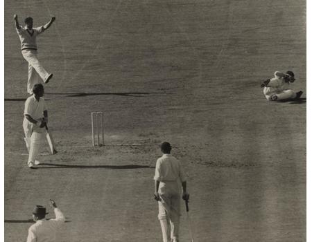 ENGLAND V AUSTRALIA 1953 (OVAL) CRICKET PHOTOGRAPH - COMPTON CAUGHT BY LANGLEY