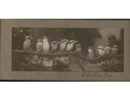 AN AUSTRALIAN ELEVEN